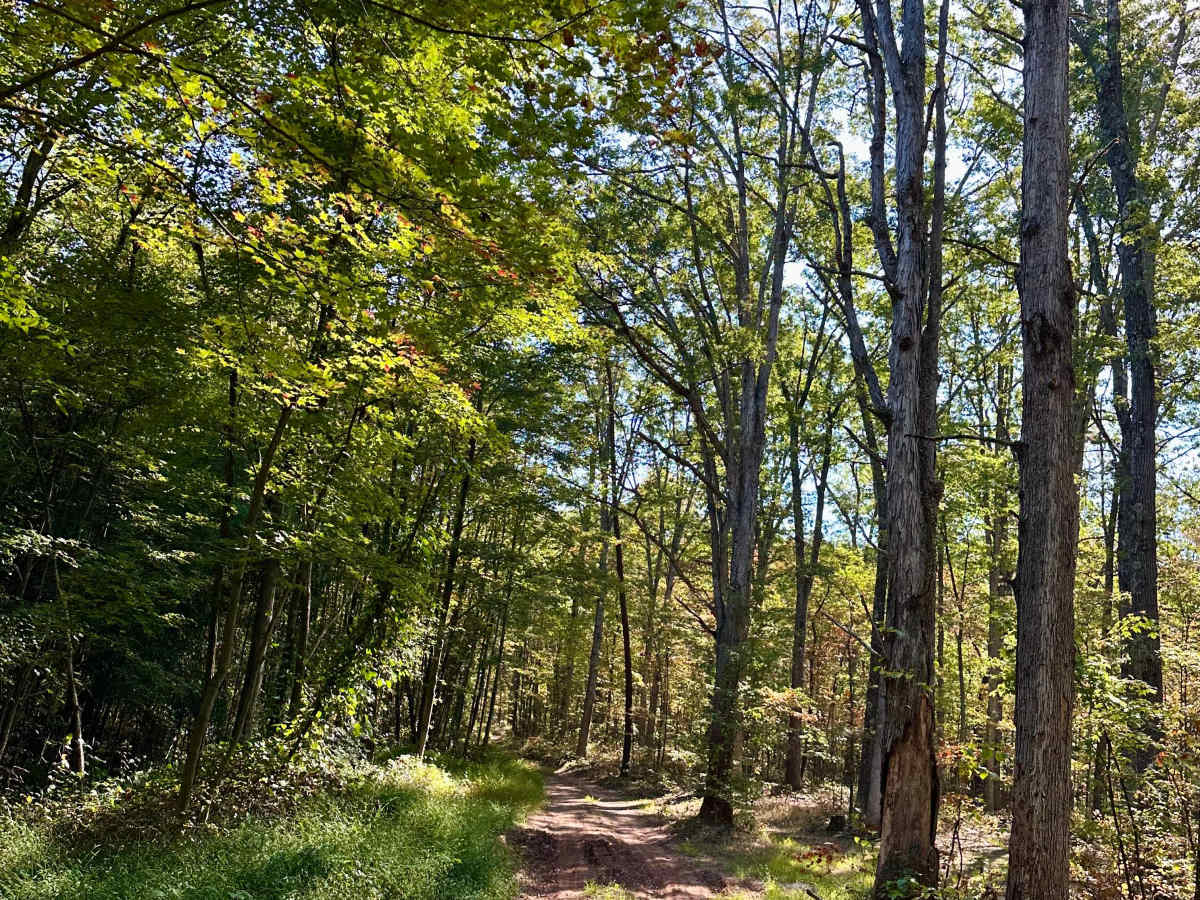Howards Trail trail photo