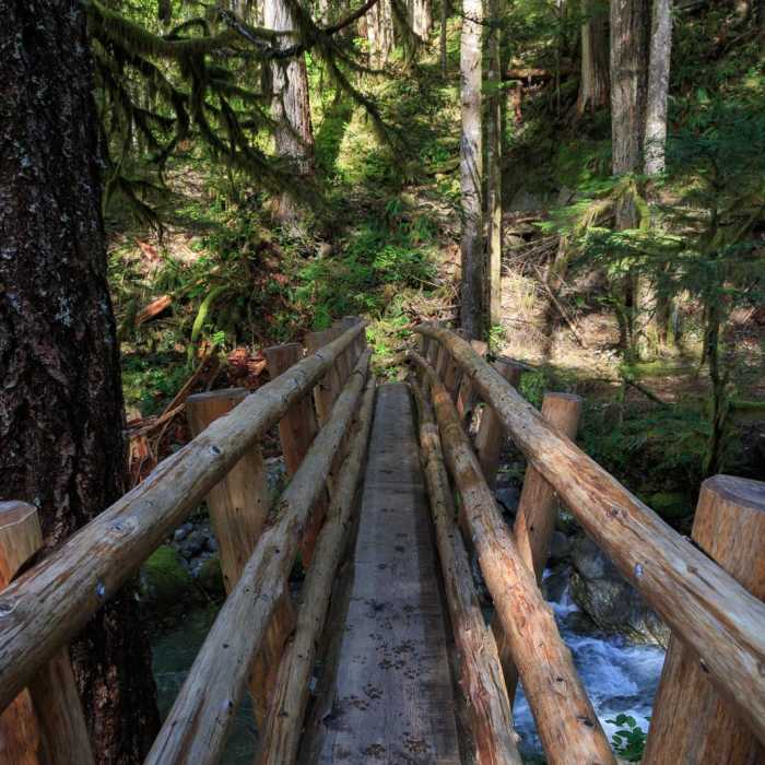 Near Little North Santiam River Trail Near Little North Santiam River Trail