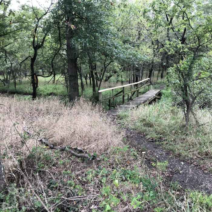 Near Mohawk Boulevard Trail