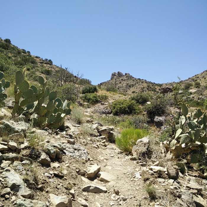 The saddle at the end of the trail is to the left of the rock outcroppings in the distance. Near Lovers' Leap Trail