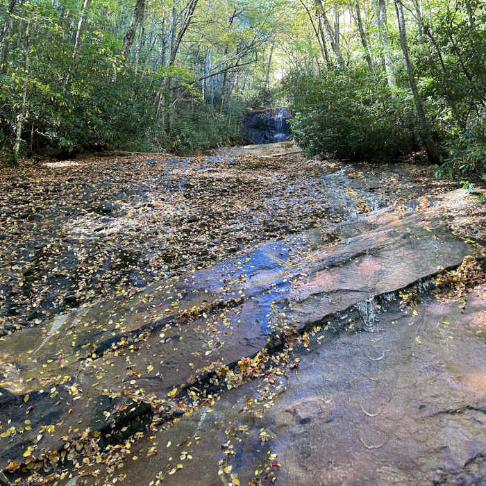 Near Snake Den Ridge Trail