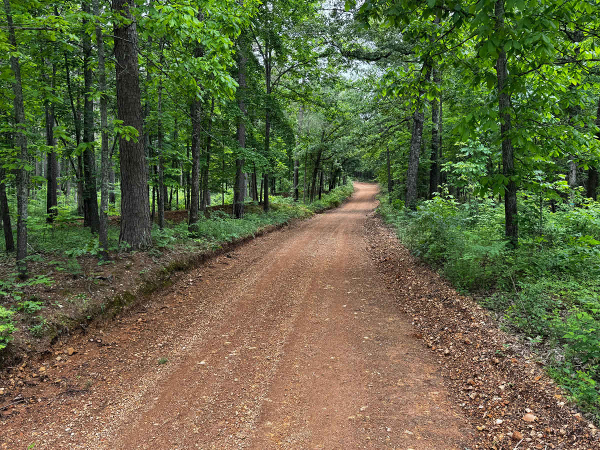 Lawrence road photo 4