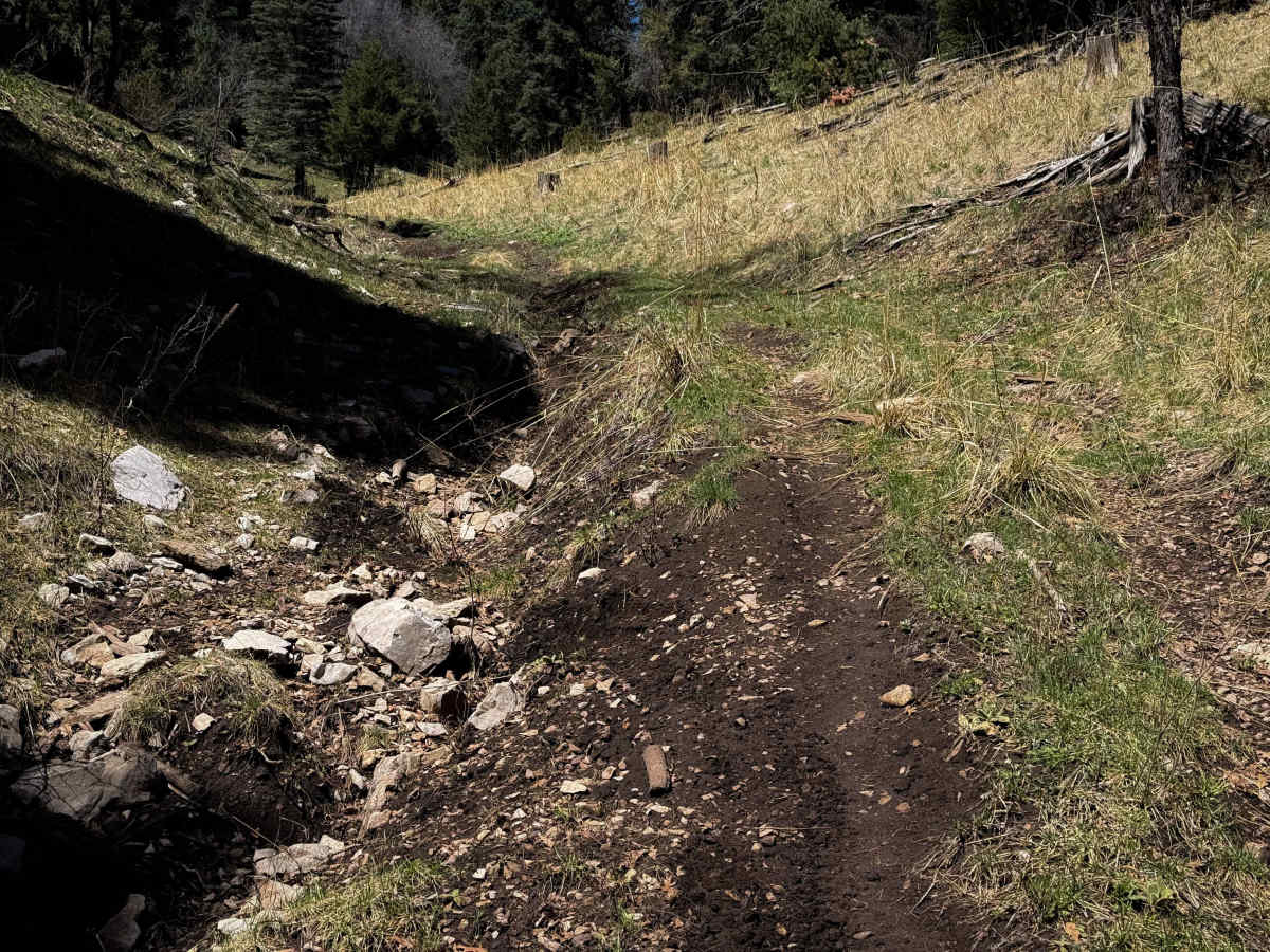 Wills Canyon - FS 5008  photo 4