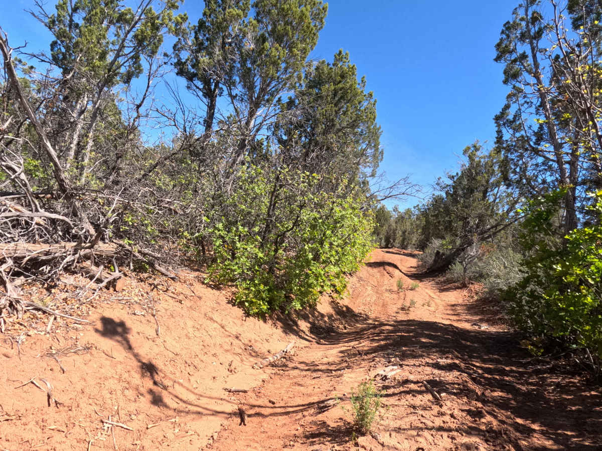 BLM 71 photo 3