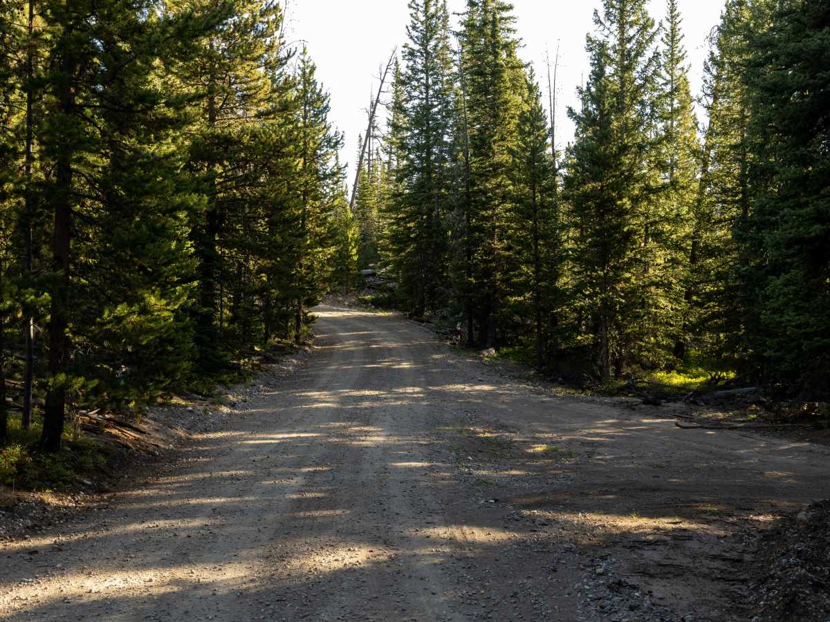 Blacktail Creek photo 6