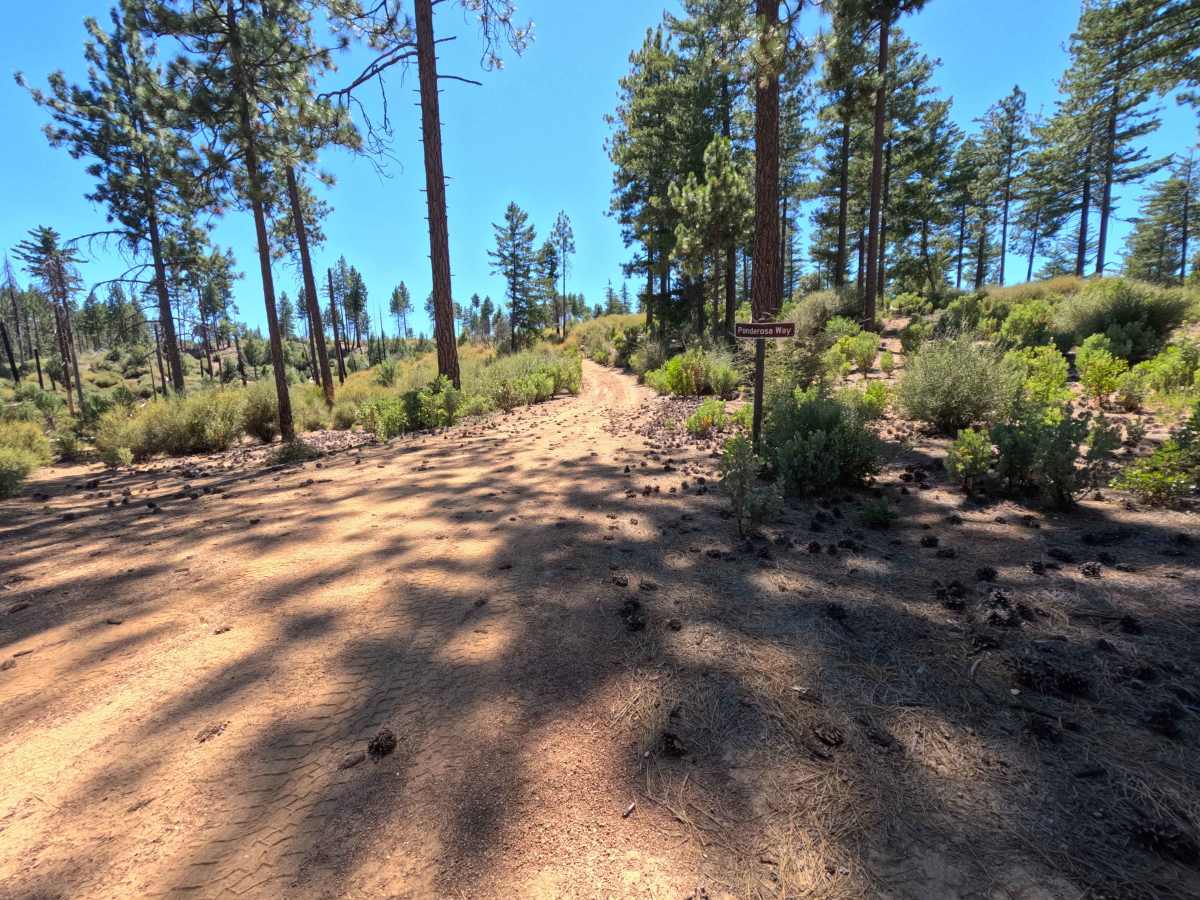 Cracker - FS 17N76 trail photo