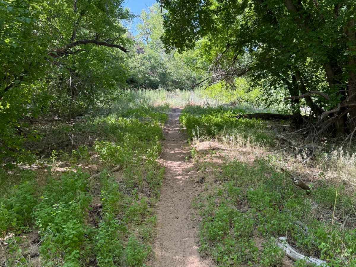 Lower Indian Creek Trail No. 021 photo 6