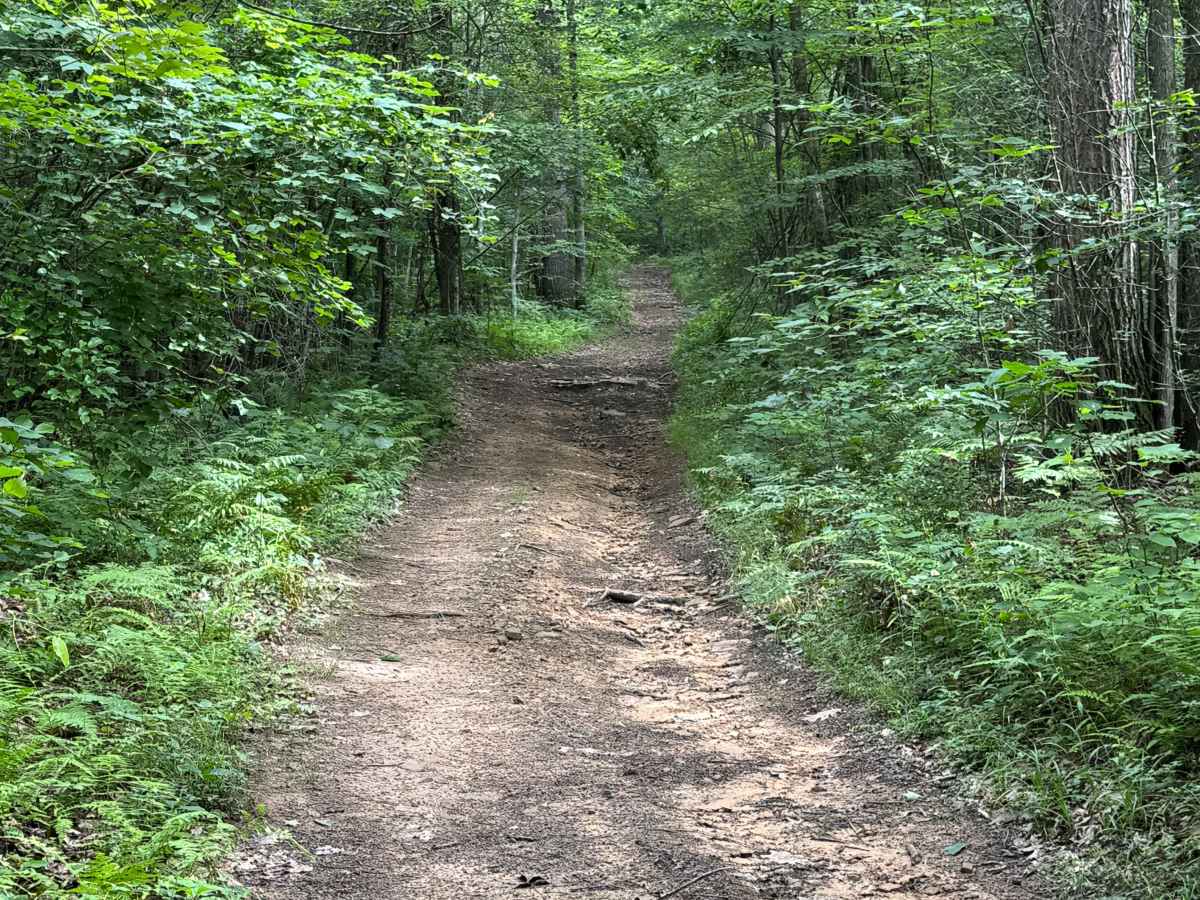 Trail 18  photo 2