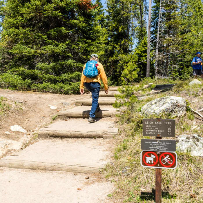 Near Leigh Lake Trail