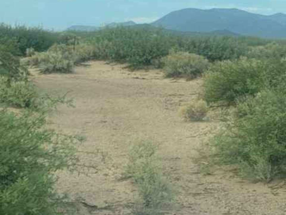 SS1130 photo 2