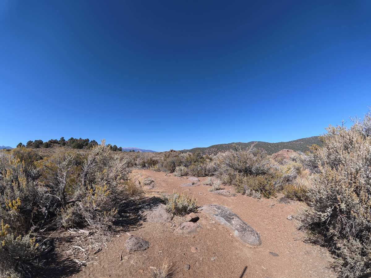 Dog Town Spur C photo 6