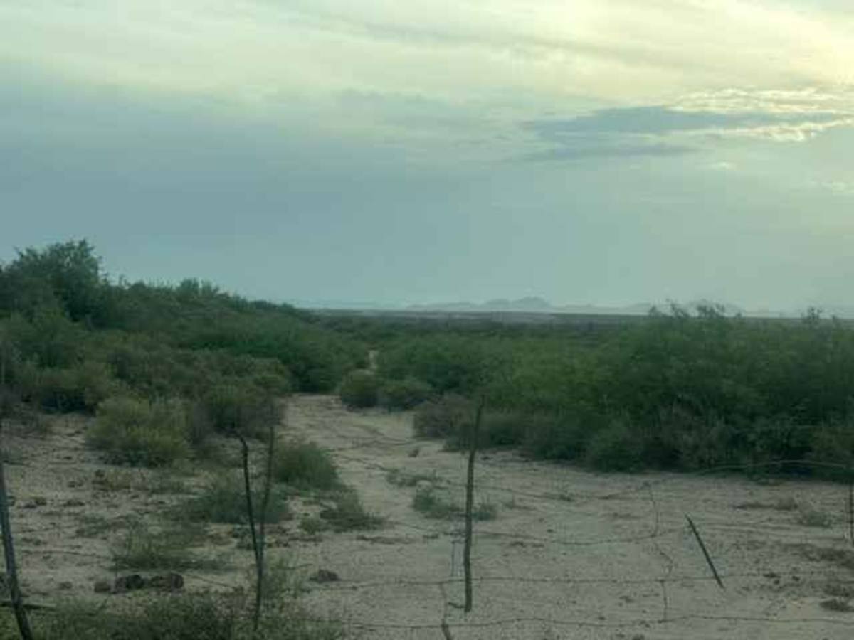 SS1137 photo 3