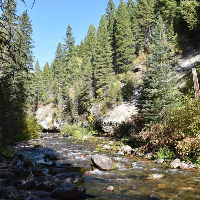 Near Rattlesnake Creek + Spring Gulch Loop