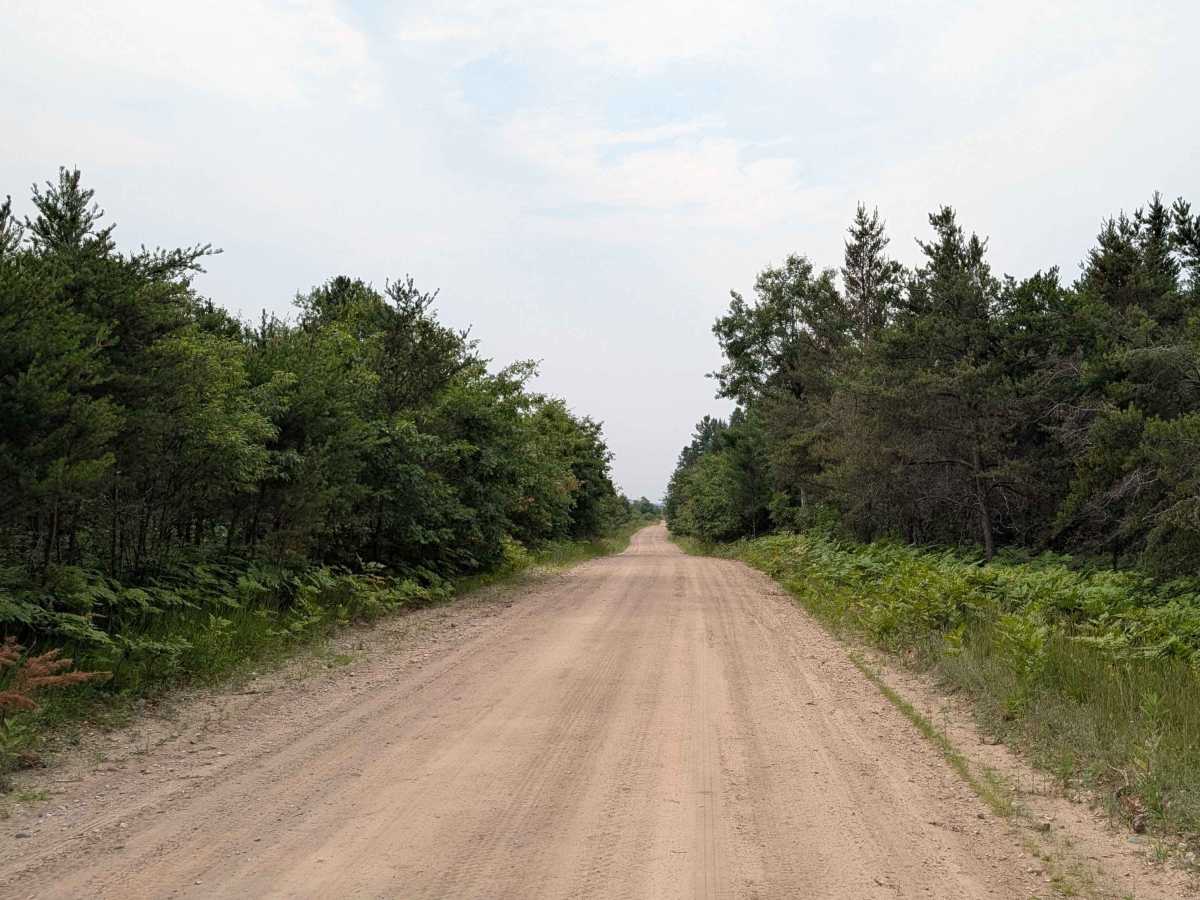 Kalkaska County Line Road trail photo