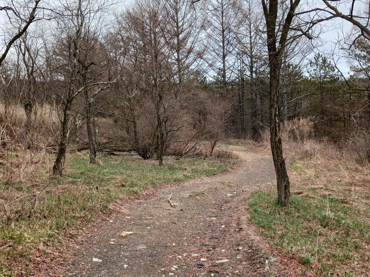 Trail 4N - Rock Run Recreation Area photo 2