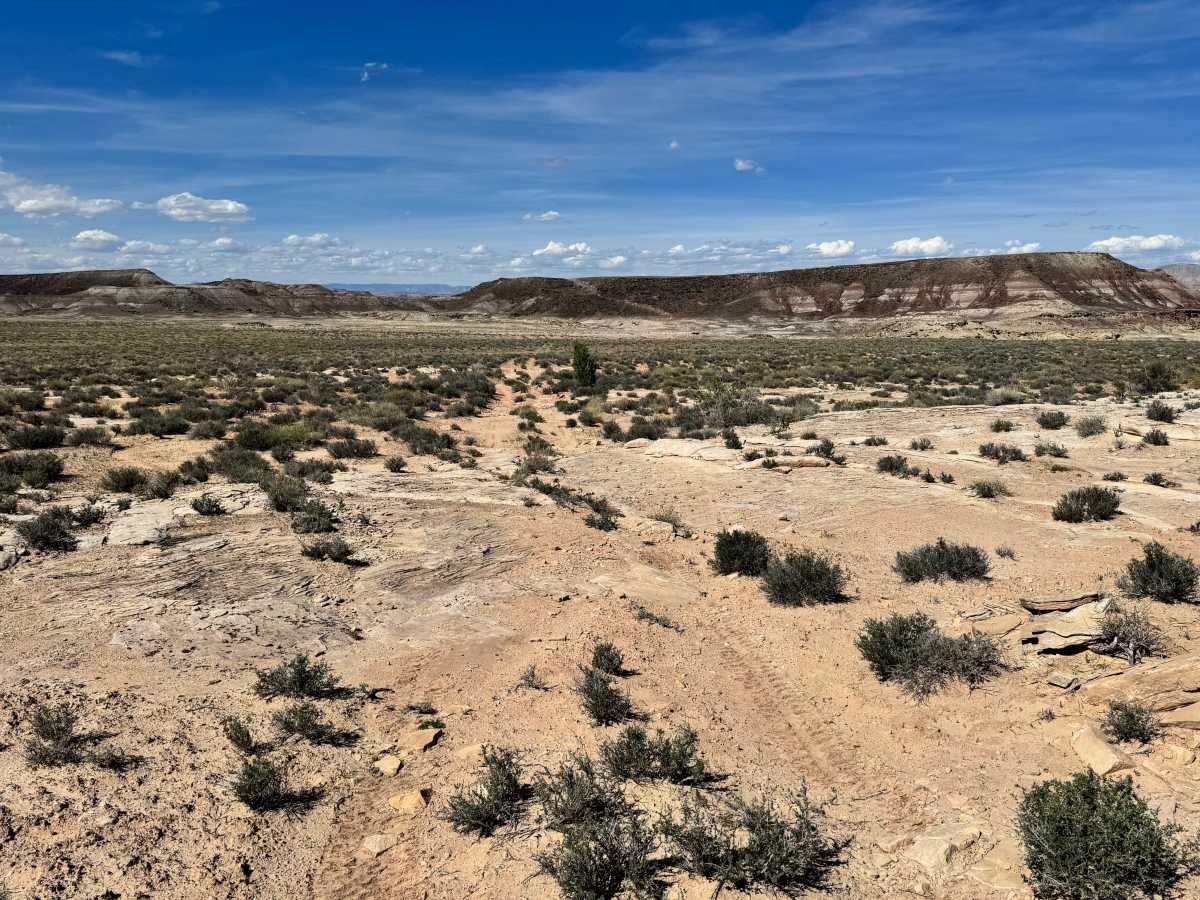 Orange Trail Overlook photo 3