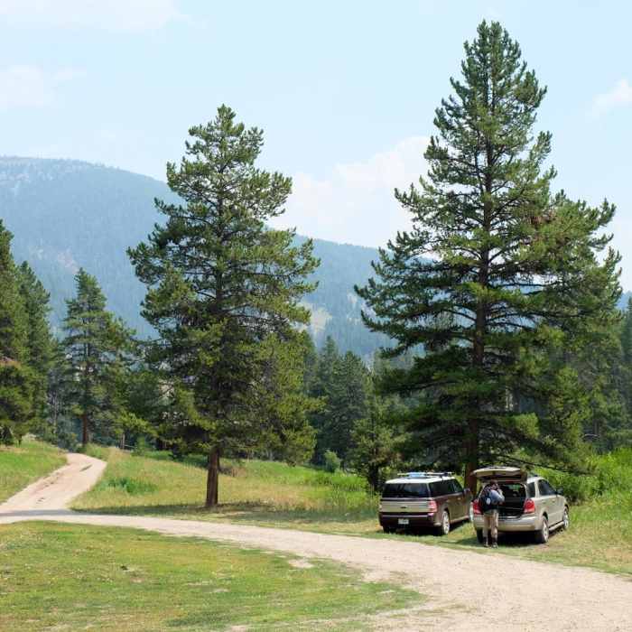 Near Cinnamon Mountain Lookout