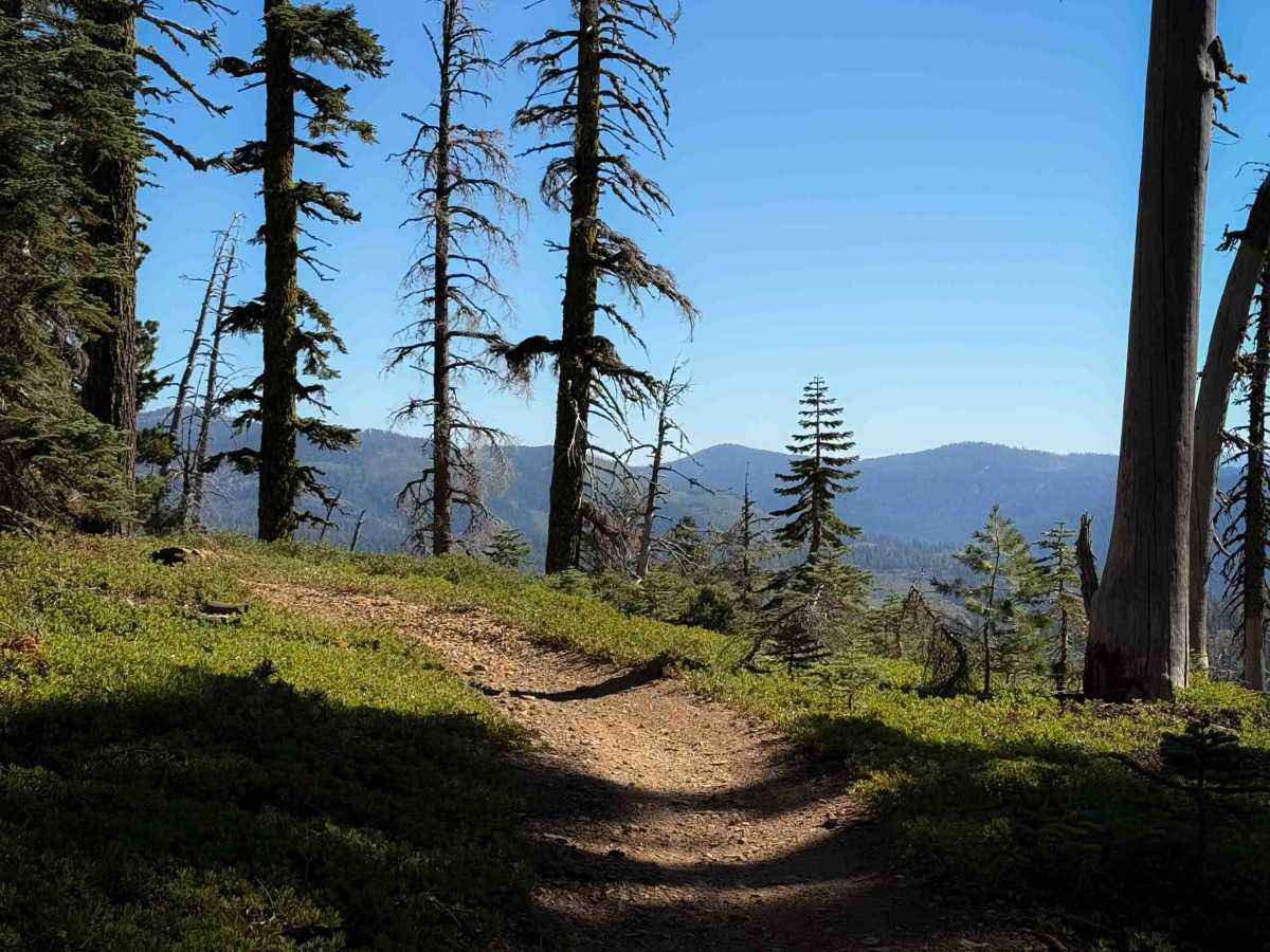 Gold Valley Rim  photo 3