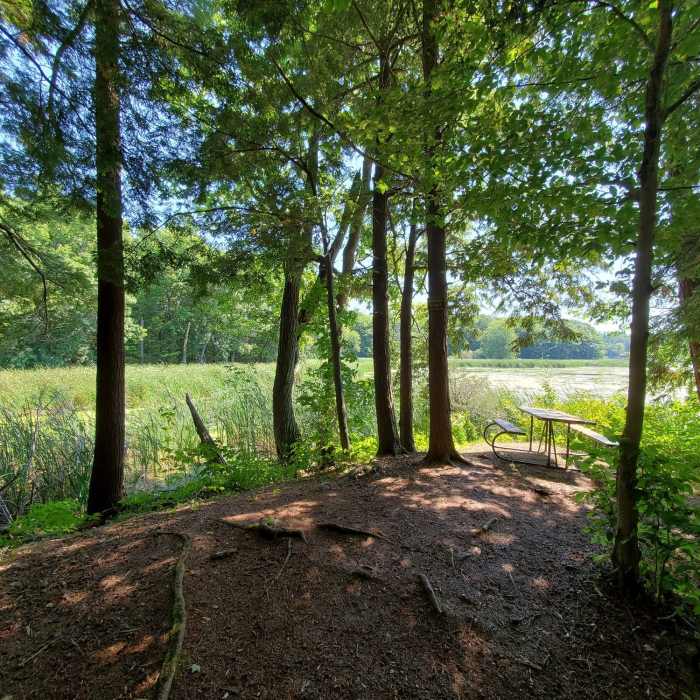 Near Landon Bay Loop