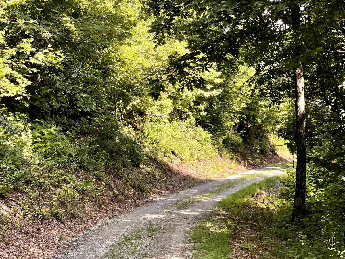 Cotrel Knob Trail trail photo