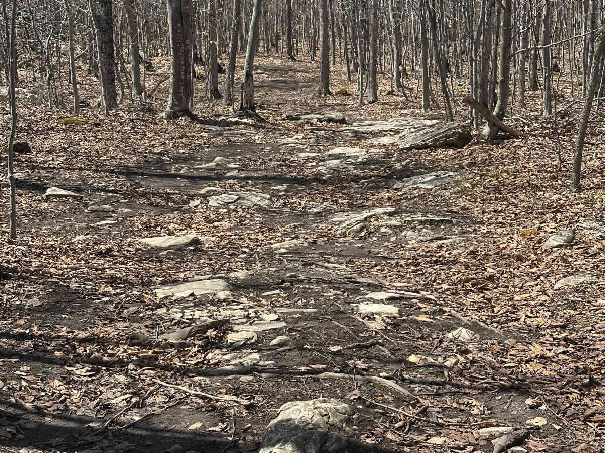 Shoe String trail photo