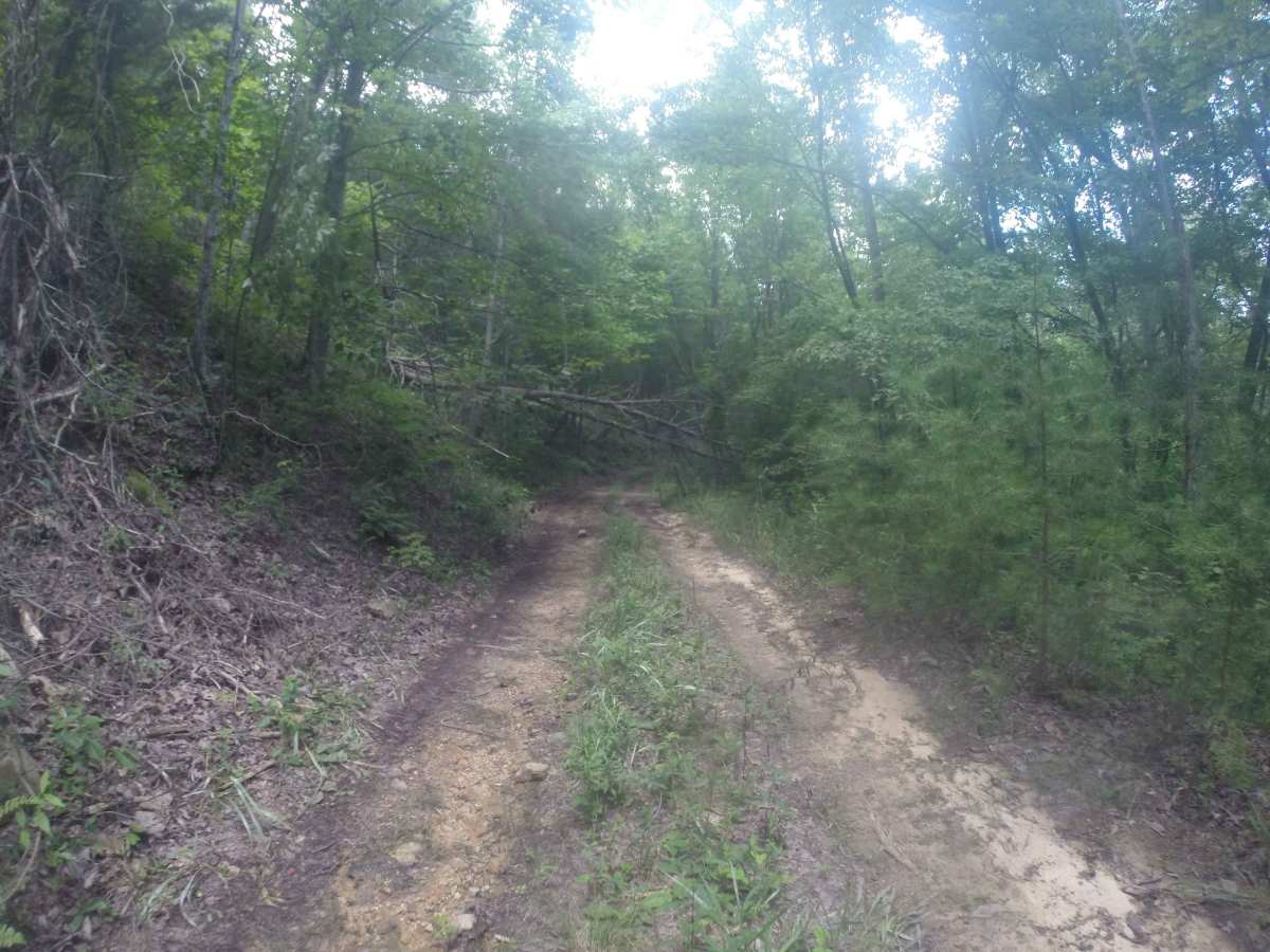 Chestnut Mountain Spur - FS 212C photo 4