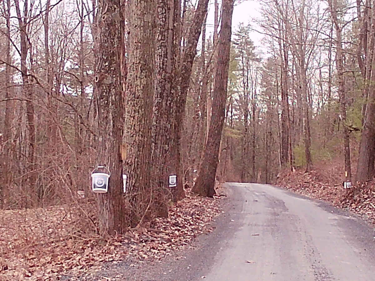Treaster Kettle road photo 2