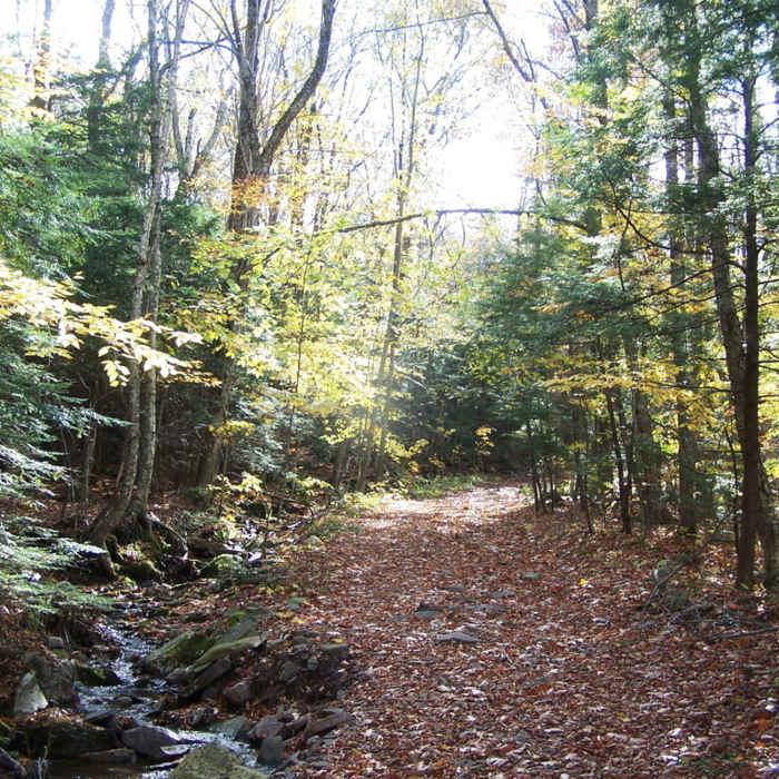 Sleepy Hollow Horse Trail Near Schutt Road
