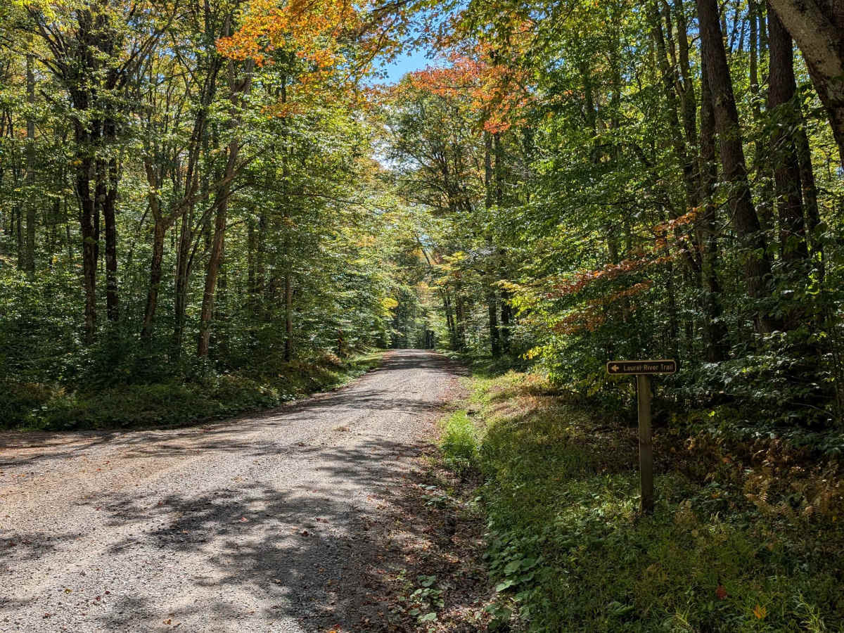 Little River Connector photo 2