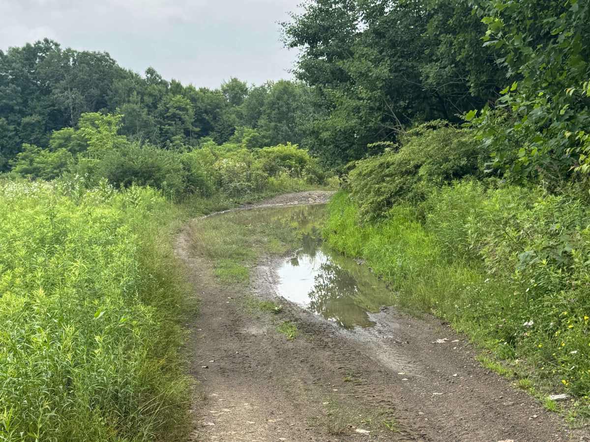Trail 66 photo 3