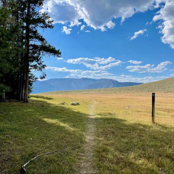 Near Continental Divide Trail: Montana-Idaho Section 8