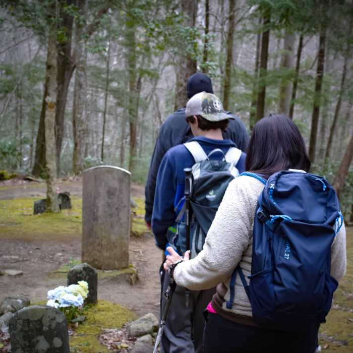 Near Porters Creek Trail to Fern Branch Falls Near Porters Creek Trail to Fern Branch Falls