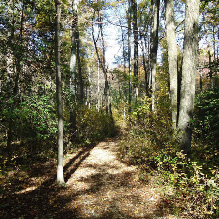 Near Perimeter Trail