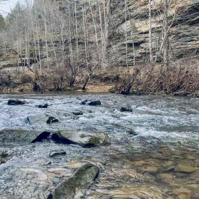 Near Indian Kitchen Loop Near Indian Kitchen Loop