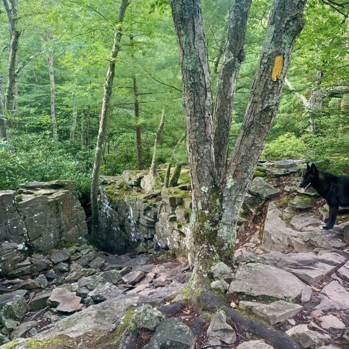 Near Shades of Death Trail