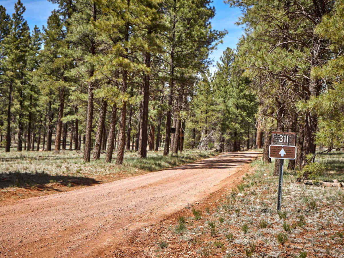 Russell Tank Road trail photo