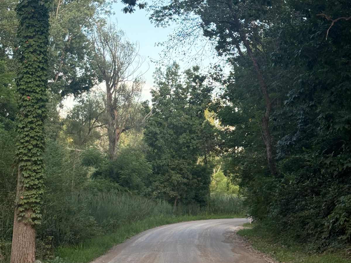 Rush Lake Trail photo 6