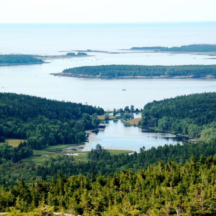 Near Penobscot Mountain Trail