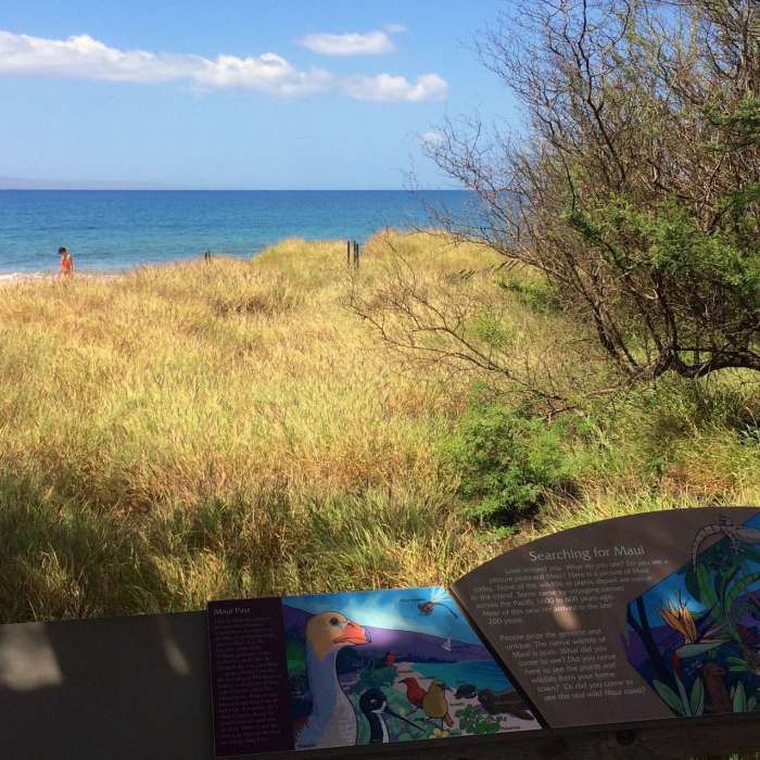 Near Kealia Coastal Boardwalk