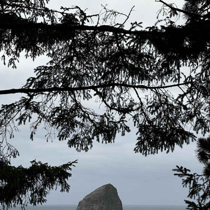 Near Pacific City Pathways Trail