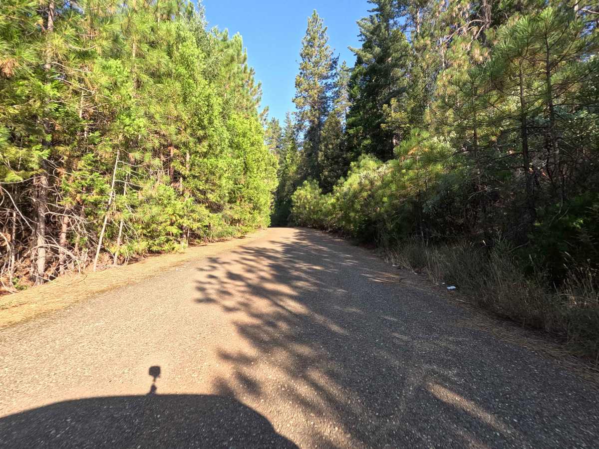 Upper Shotgun Road photo 2