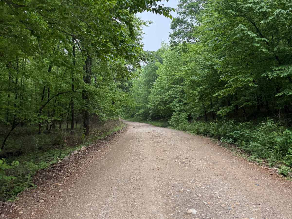 Polk County Road 601 photo 2