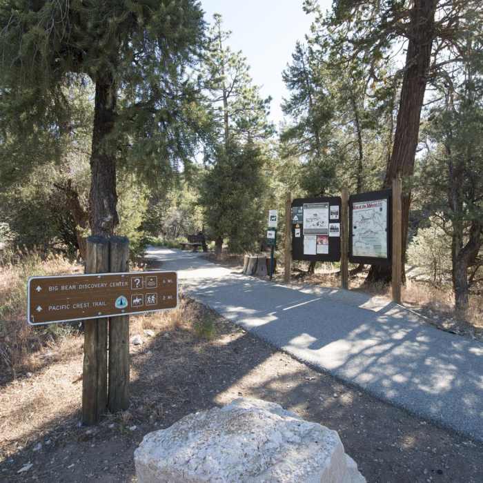 Near Cougar Crest Trail