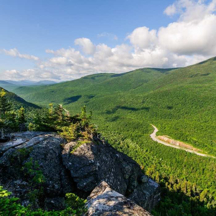 Wildcat Ridge Wildcat Ridge Trail | Hiking Trail Maps, Difficulty, Trail Status | onX