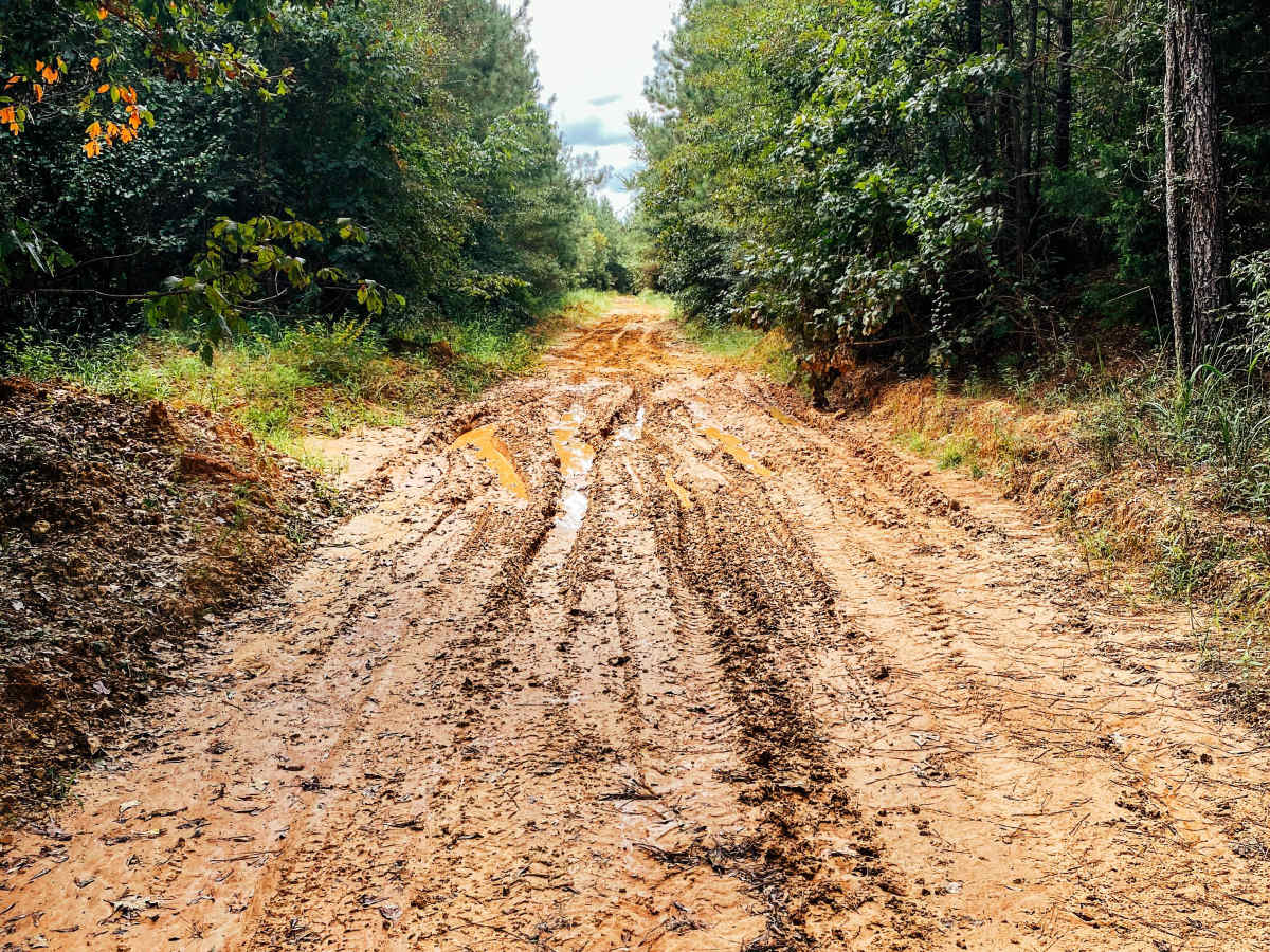 Pearl River Run photo 2