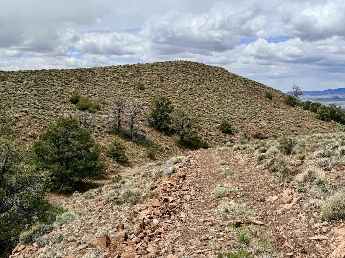 Willow Spring Cutoff - FS 44525 photo 3