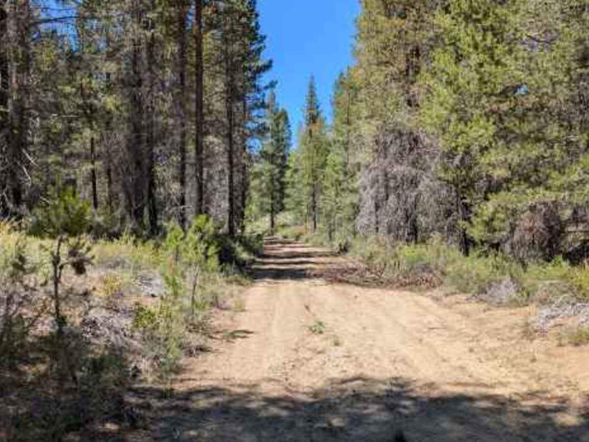 FS 4502400 trail photo