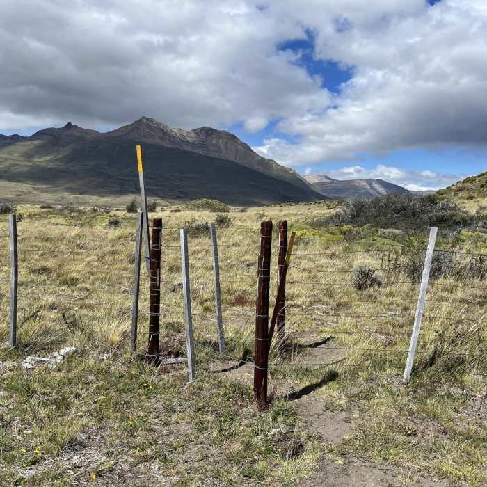 Near Bahia Tunel to Las Vueltas River Viewpoint