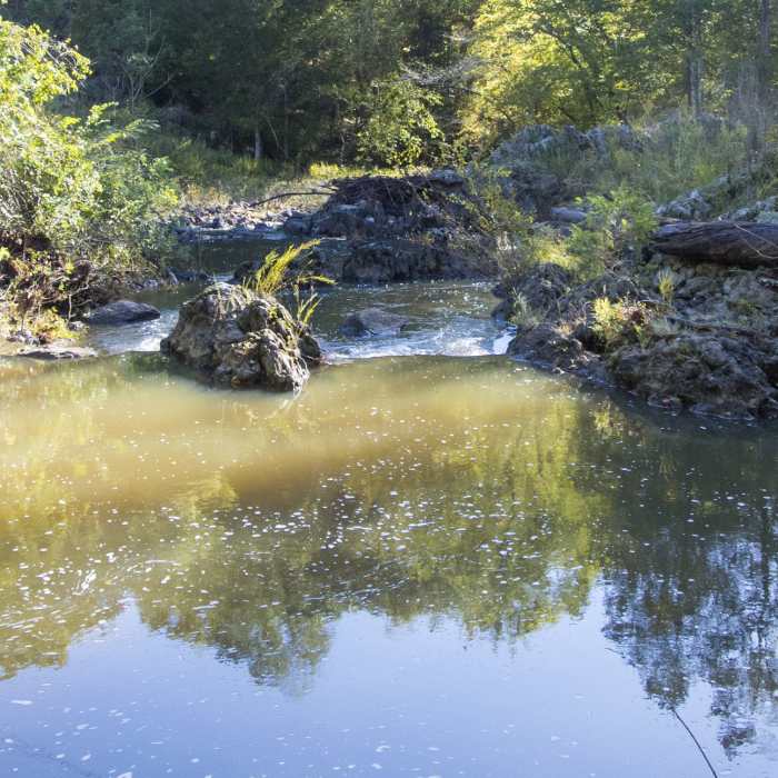 The powerline easement creates a sunny spot of the creek where water accumulates into a convenient swimming hole. Near Johnston Mill Loop