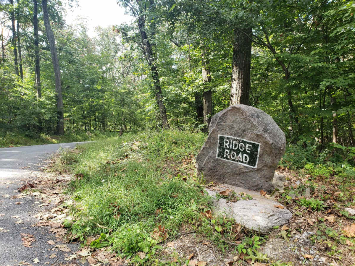 Michaux Ridge Road photo 5